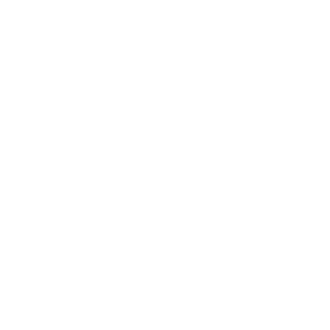 no kids allowed logo white