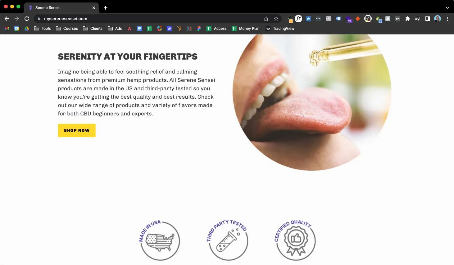 website design