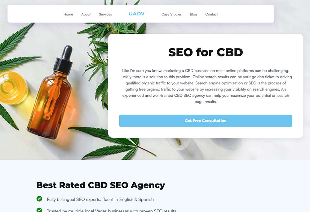 website landing page